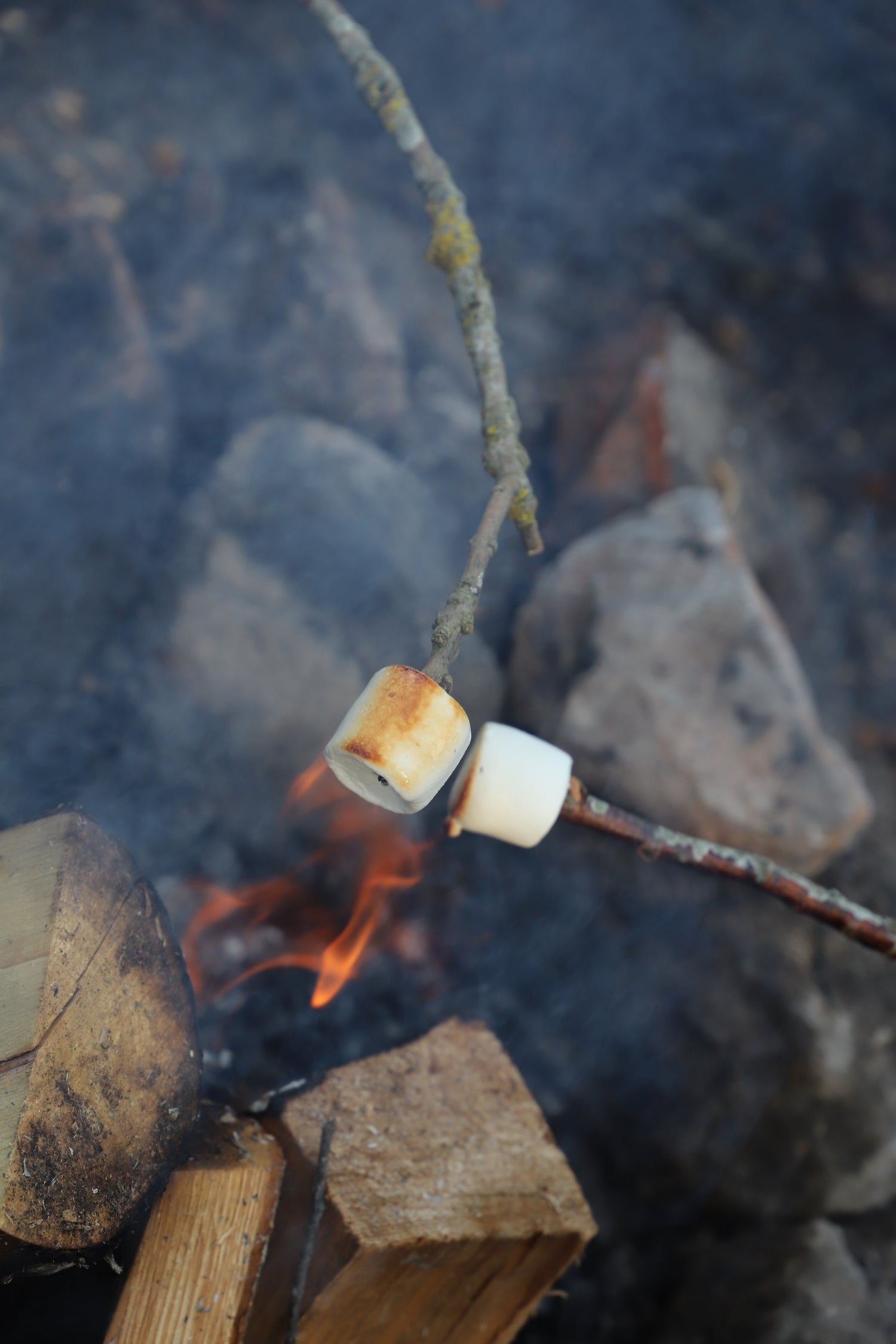Madglæde for hele familien